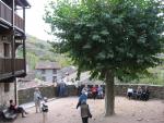Beget
